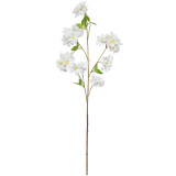 An 85cm white apple tree blossom stem.