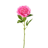 A Real Touch Hot Pink Open Peony Stem.