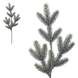 A 61cm Aspen Frost Fir Stem.