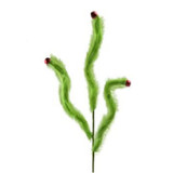 A 72cm Green Fluffy Jingle Long Stem.