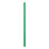 A Green Foam Noodle, measuring approx. 38mm x 1m.