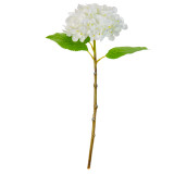 47cm Pure White Hydrangea Stem (1)