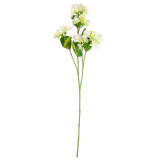 White Hydrangea Stem (1)