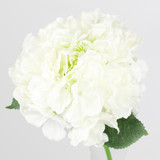 A 42cm Cream Hydrangea Short Stem A 42cm Cream Hydrangea Short Stem