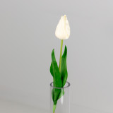 50cm White Tulip Stem (1) 50cm White Tulip Stem (1)