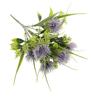Lilac Melancholy Thistle Bush, measuring 36cm.