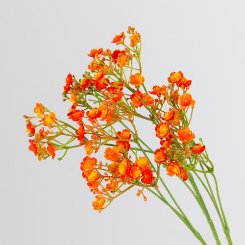 A 70cm Orange Chloe Gypsophila Spray A 70cm Orange Chloe Gypsophila Spray