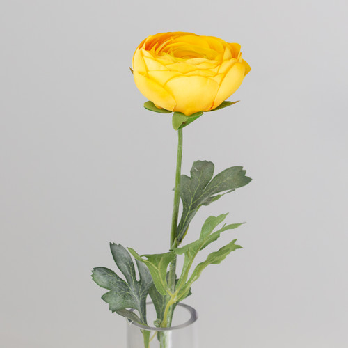 50cm Yellow Ranunculus Flower (1) 50cm Yellow Ranunculus Flower (1)