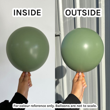 24" Fashion Eucalyptus Sempertex Latex Balloons (3)