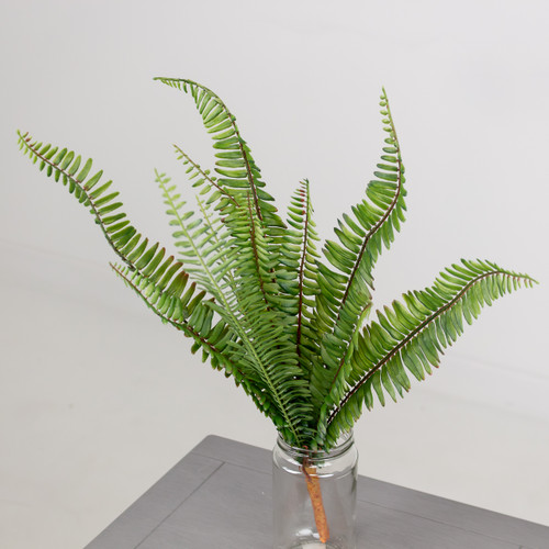 48cm Green Adiantum Fern Bush (1) 48cm Green Adiantum Fern Bush (1)