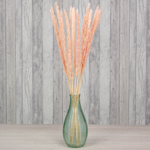 65cm Dried Pale Pink Pampas Grass Bunch - 15 Stems