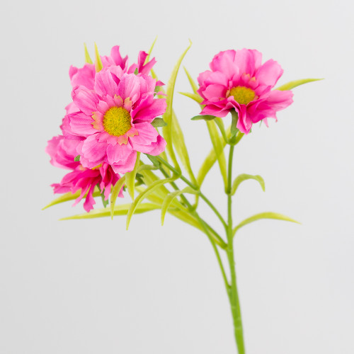 A 59cm Pink Lillia Daisy Spray A 59cm Pink Lillia Daisy Spray