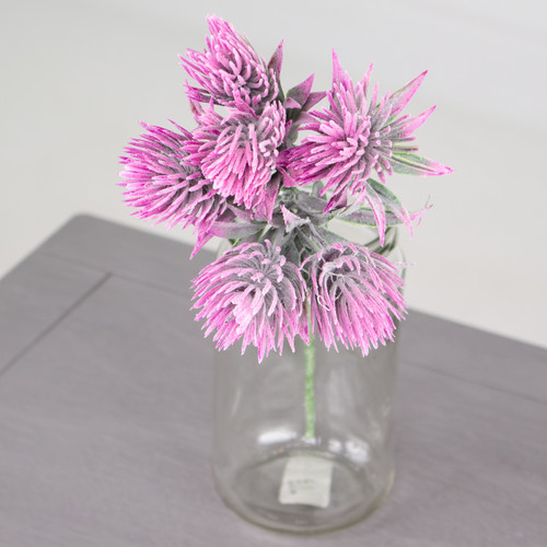 A 31cm Pink Tropic Thistle Stem.