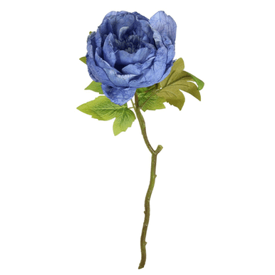 A Dried Touch Blue Closed Peony Pick, measuring approx. 48cm!