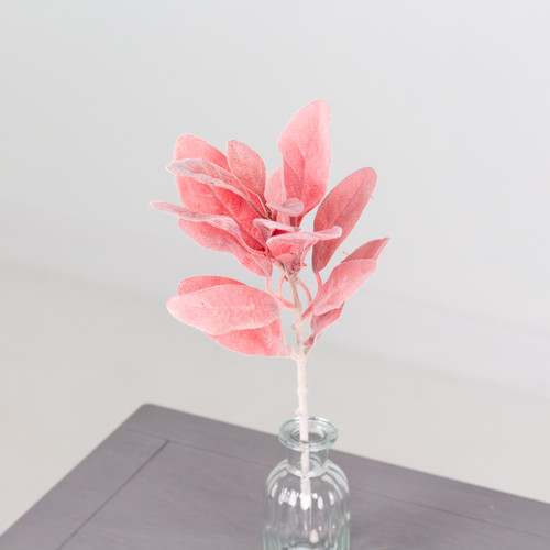 Rouge Lambs Ear Stem, measuring 37cm!