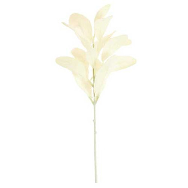 Cream Lambs Ear Stem, measuring 37cm.