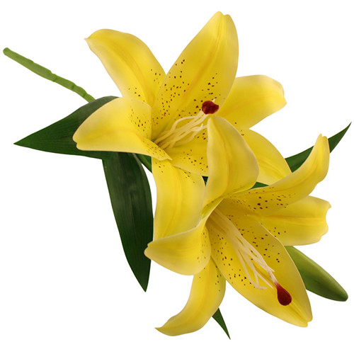 39cm Yellow Stargazer Lily Pick