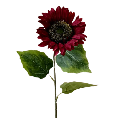 A 71cm Crimson Sunflower stem