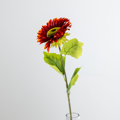 A 71cm Crimson Sunflower stem