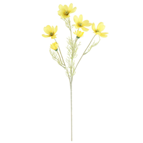 A Yellow Cosmos Daisy Spray, measuring approx. 60cm!