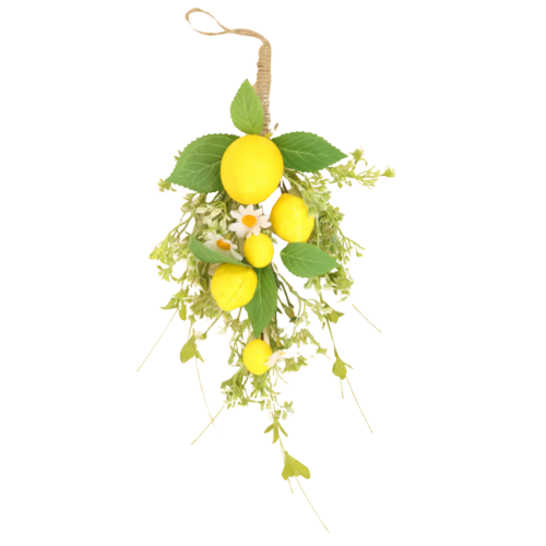Hanging Lemon Spray Hanging Lemon Spray