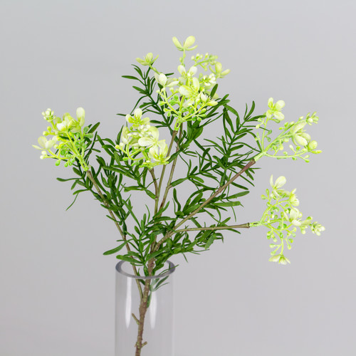 An artificial white Broom bloom. An artificial white Broom bloom.