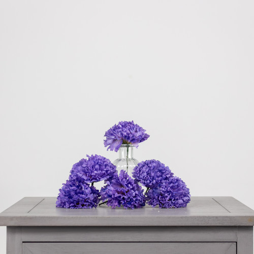 A lavender coloured carnation head