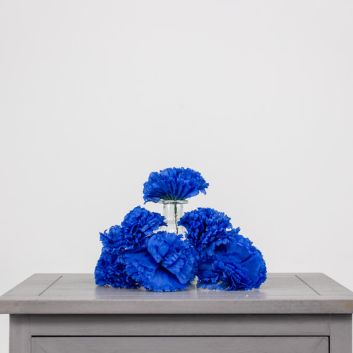 A royal blue coloured carnation head