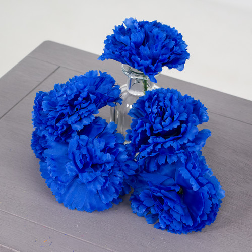 A royal blue coloured carnation head A royal blue coloured carnation head
