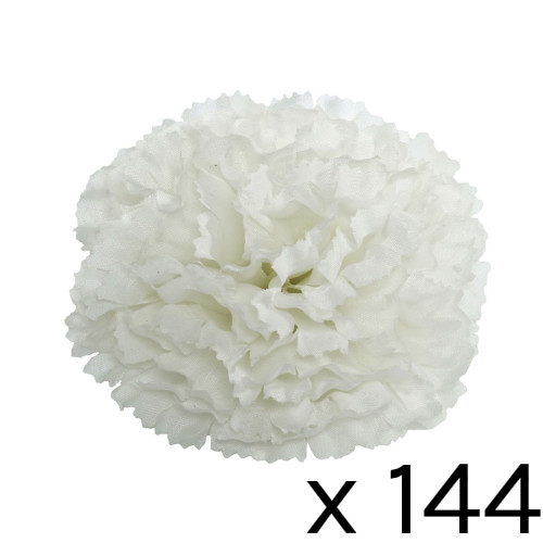 A white coloured carnation head