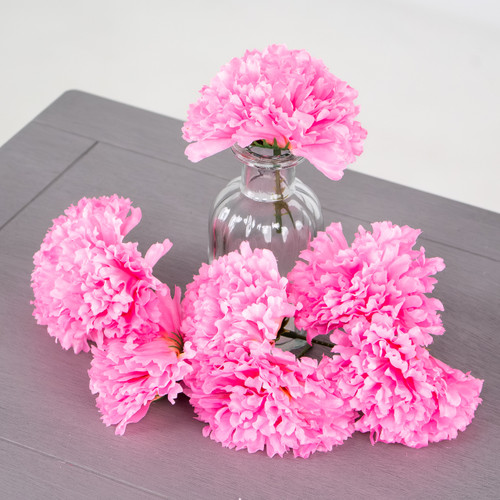 A pink coloured carnation head A pink coloured carnation head