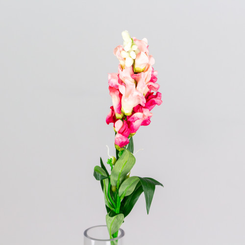 A Pink Snapdragon Flower, measuring approx. 59cm! A Pink Snapdragon Flower, measuring approx. 59cm!