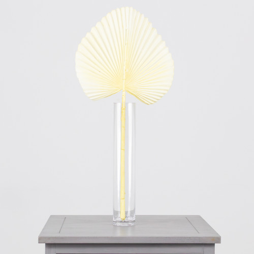 54cm Bleached Dry Look Fan Palm Leaf