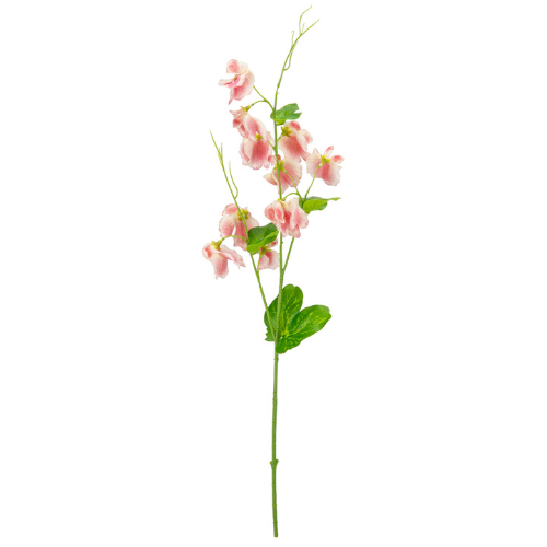 A Dark Pink Sweet Pea Spray