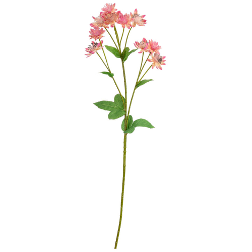 A Pink Astrantia Spray, measuring approx 61cm!