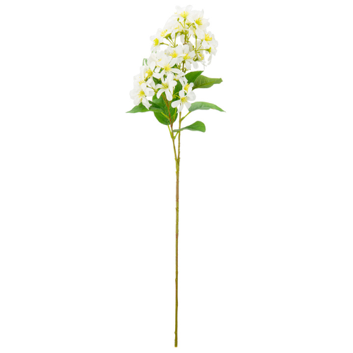 72cm Ivory Vernicia Spray