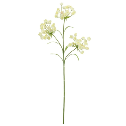 A 74cm Cream Fairybell Allium spray.