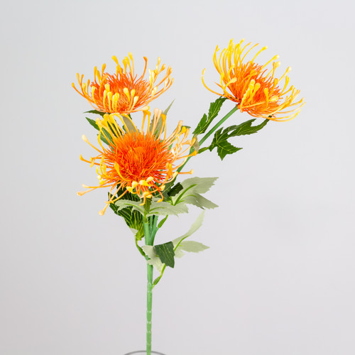 A 65cm Orange Protea spray. A 65cm Orange Protea spray.