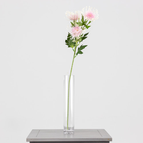 A 65cm light pink protea spray.