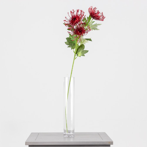 A 65cm Red Protea spray.