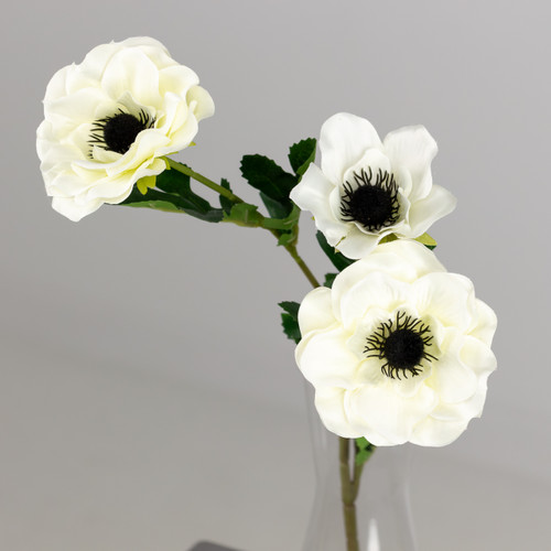 A cream anemone spray, measuring 50cm. A cream anemone spray, measuring 50cm.