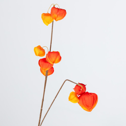 An Orange Physalis Spray, measuring approx. 85cm!