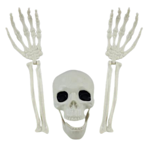 A Skeleton Prop Outdoor Decoration - great for Halloween!