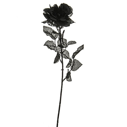 An Artificial Black Rose Stem. An Artificial Black Rose Stem.