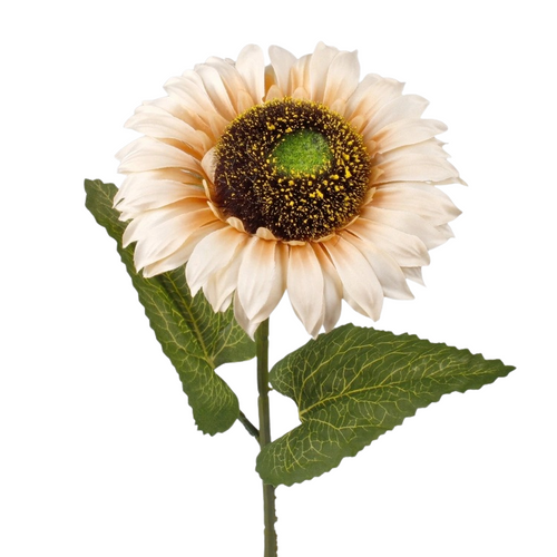 A 60cm Autumn Cream Sunflower Stem. A 60cm Autumn Cream Sunflower Stem.