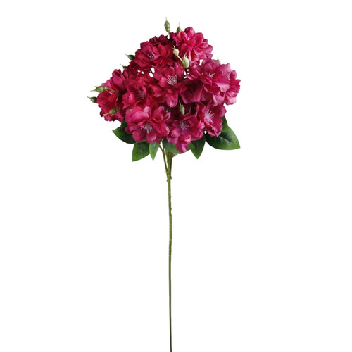 A 76cm Burgundy Azalea Stem. A 76cm Burgundy Azalea Stem.