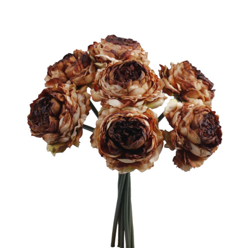A Dusky Brown Peony Bouquet. A Dusky Brown Peony Bouquet.