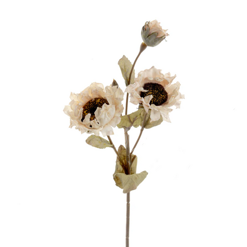 A 51cm Cream Dried Look Sunflower Spray. A 51cm Cream Dried Look Sunflower Spray.