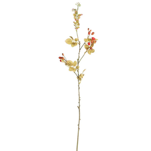 An 85cm Botanica Rose Hip Spray. An 85cm Botanica Rose Hip Spray.