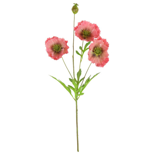 A 68cm rouge grand oriental poppy stem.